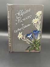 Load image into Gallery viewer, Flowers from On High: Schröter - Alpine Flowers (19th/20th c.)
